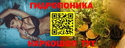 прущие грибы Берёзовский