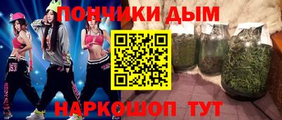 гашик Бийск