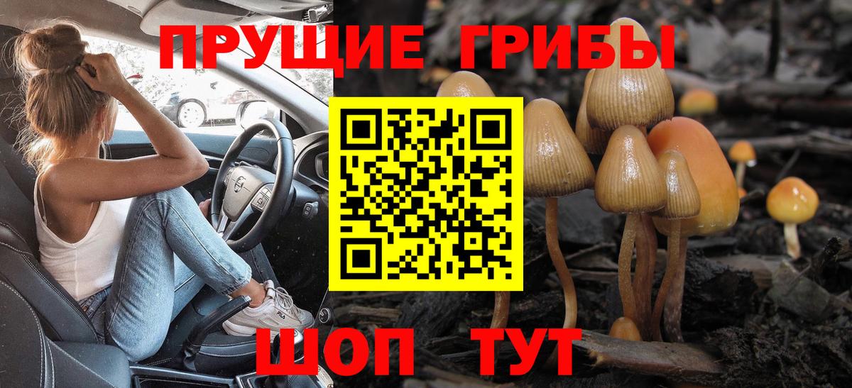 Галлюциногенные грибы прущие грибы Кириши